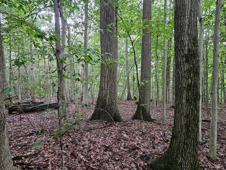 More Photos Of 3922 Kortwright Rd, Jamestown Warehouse For Sale