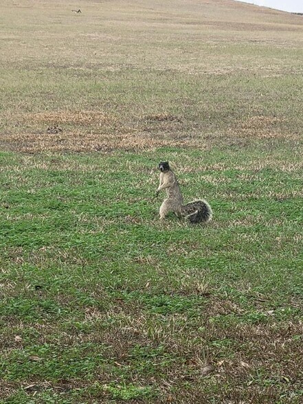 More Photos Of 15400 S US Highway 301, Summerfield Office For Sale