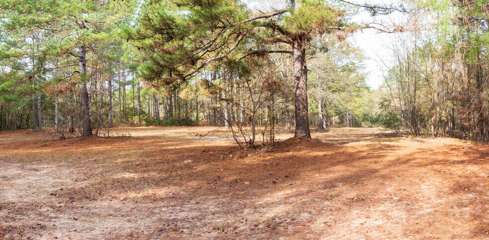 More Photos Of 409 Windward Ave, Orangeburg Land For Sale