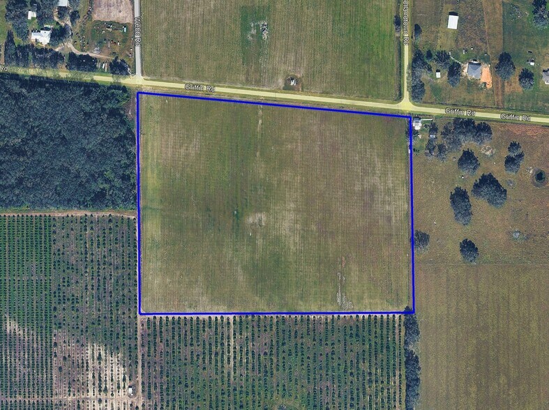 Primary Photo Of 2270 Griffin Rd, Wauchula Land For Sale
