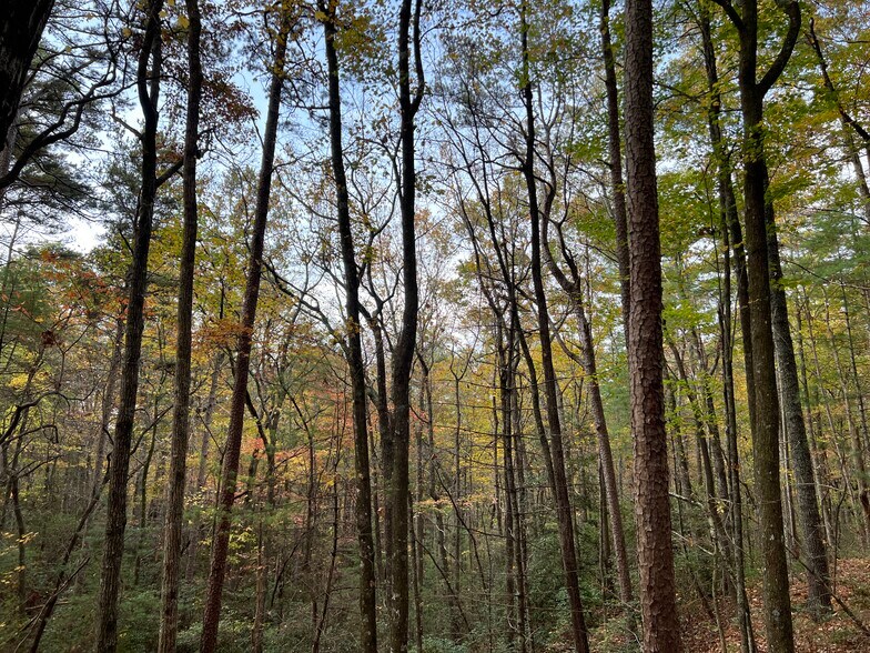 More Photos Of Whitecliff Drive, Ellijay Land For Sale