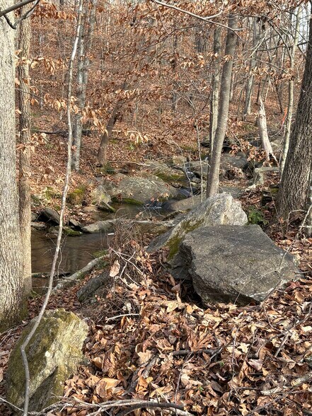 More Photos Of 199 Morgan St, Cowpens Land For Sale