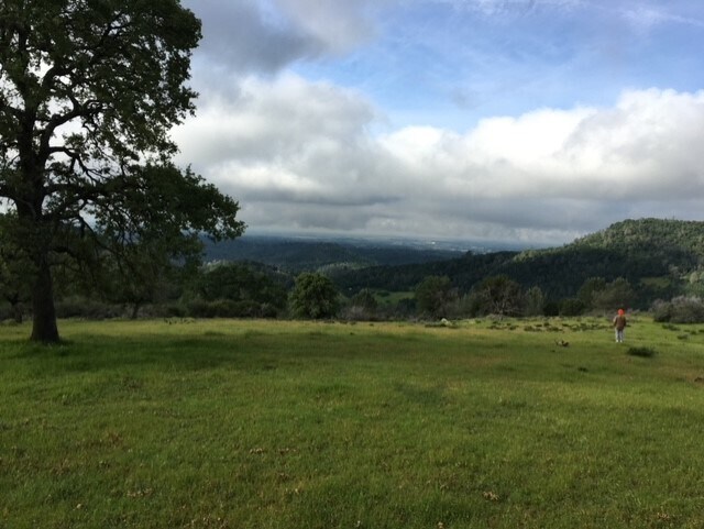 More Photos Of 1484 Oregon Gulch, Oroville Land For Sale