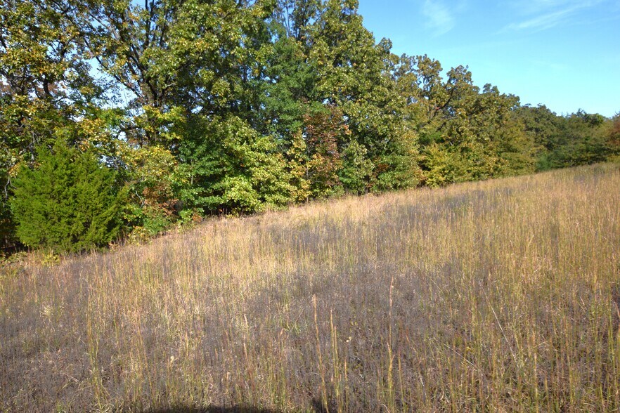 More Photos Of 1312 Caddo st, Muldrow Land For Sale