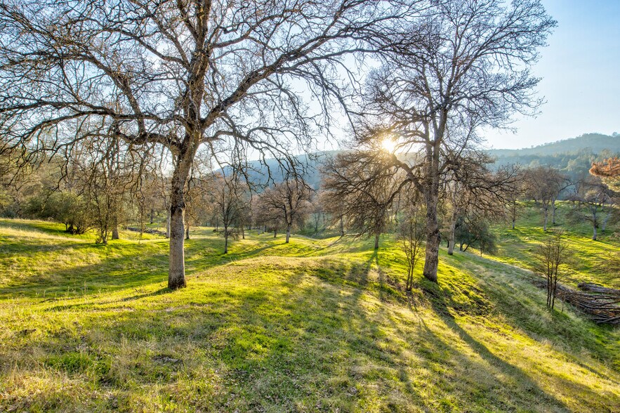 More Photos Of 50871 Road 200, O Neals Land For Sale