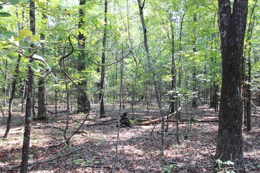 More Photos Of 226 Blythe rd, Greenbrier Land For Sale