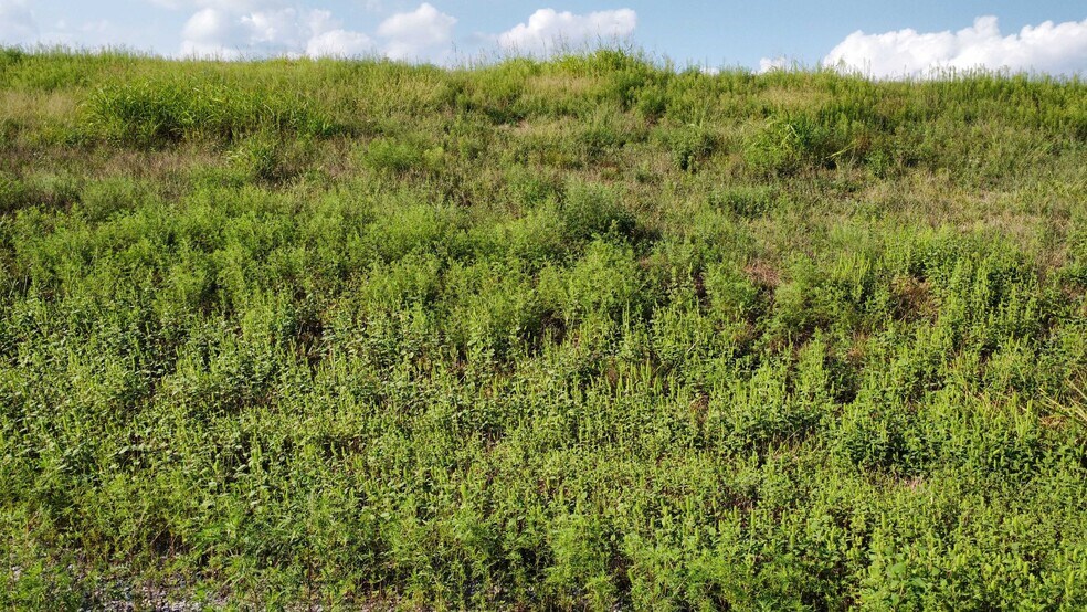 More Photos Of 13460 N 119th East Ave, Collinsville Land For Sale