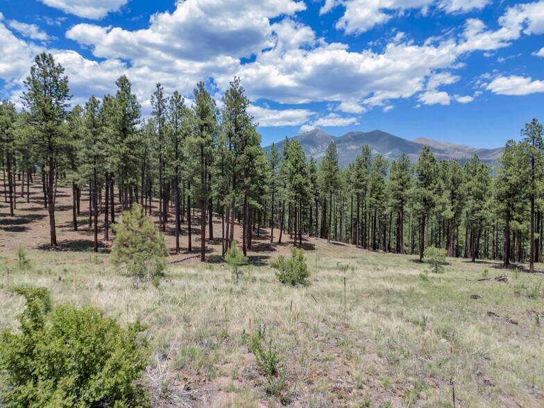 More Photos Of 2251 Kramer St, Flagstaff Land For Sale