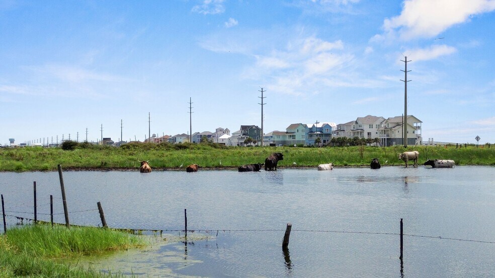 More Photos Of Farm to Market Road 3005, Galveston Land For Sale
