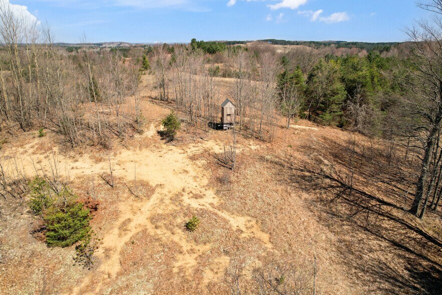 More Photos Of 9553 18 1/2 Rd, Manton Land For Sale