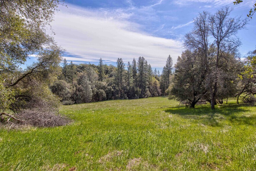 More Photos Of 18800 Charleston Rd, Volcano Land For Sale