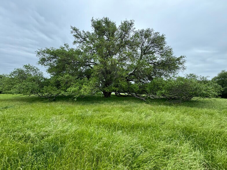 More Photos Of 435 County Road 470, Chilton Land For Sale