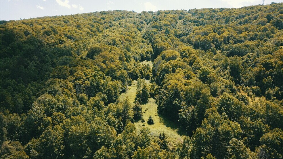 More Photos Of 273 Galli Curci Rd, Highmount Land For Sale