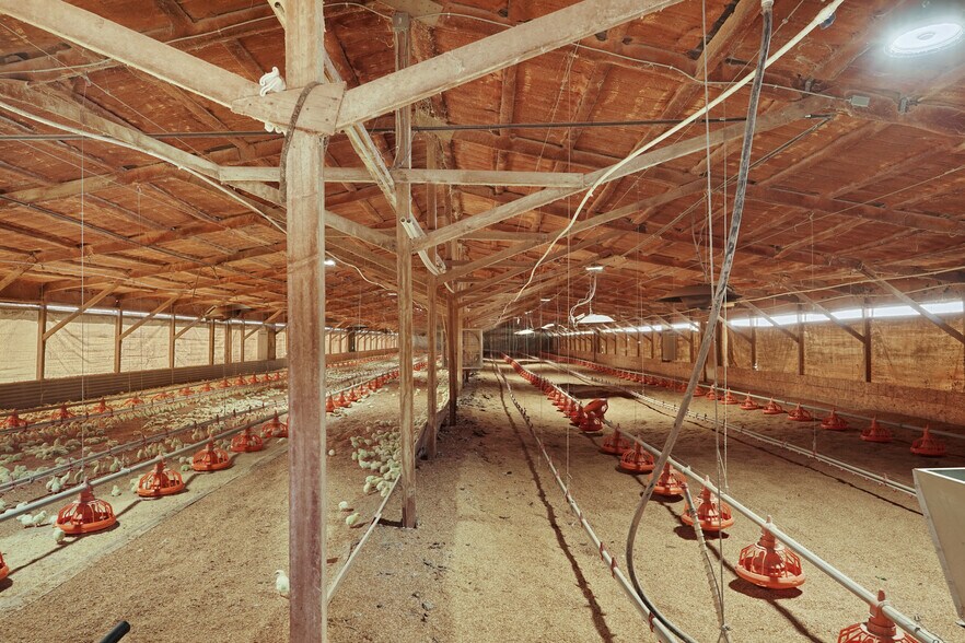 More Photos Of 28600 Sowles Rd, Galt Land For Sale