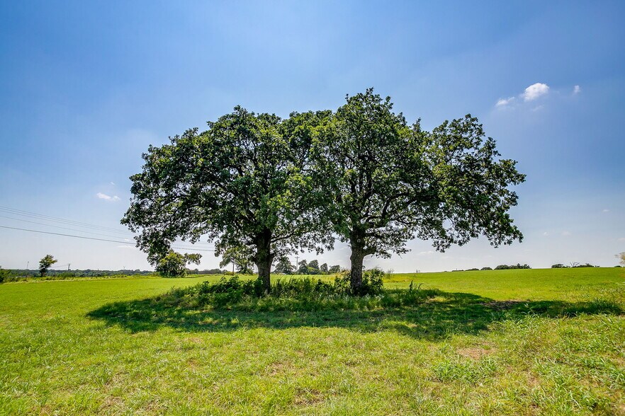 More Photos Of 601 County Road 805, Cleburne Land For Sale