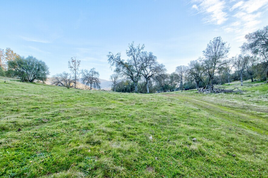 More Photos Of 50871 Road 200, O Neals Land For Sale