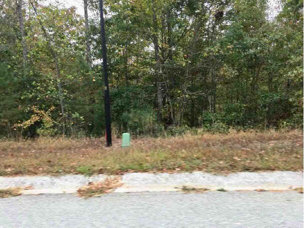 More Photos Of Mill Run @ Mill Pond Way, Bremen Land For Sale