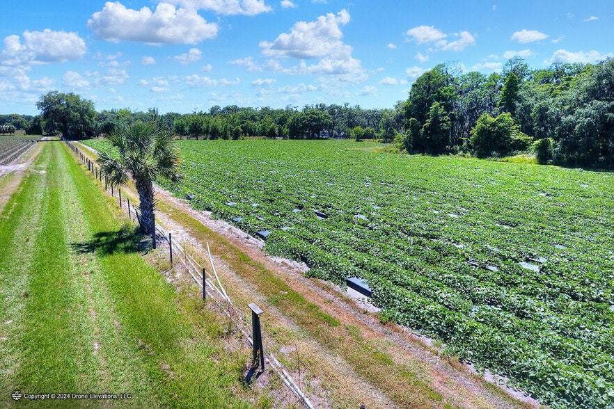 More Photos Of 5625 Stafford Rd, Plant City Land For Sale