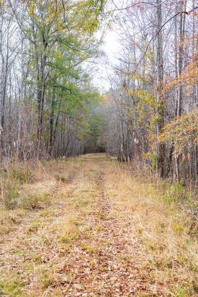 More Photos Of 409 Windward Ave, Orangeburg Land For Sale