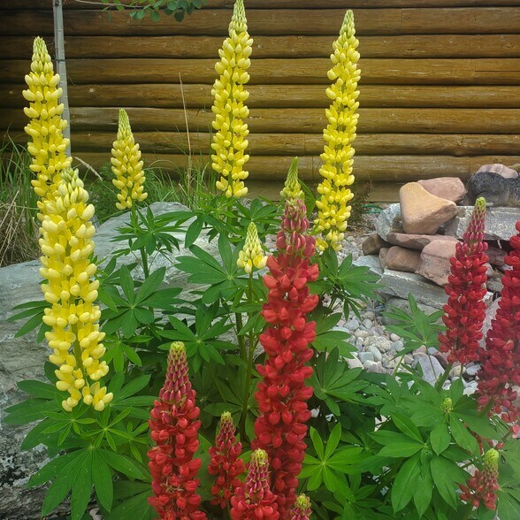 More Photos Of 6287 Highway 83, Swan Valley Restaurant For Sale