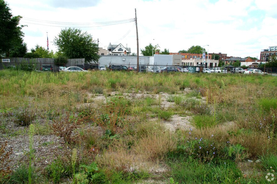 More Photos Of 109-111 W Alexandrine St, Detroit Land For Sale