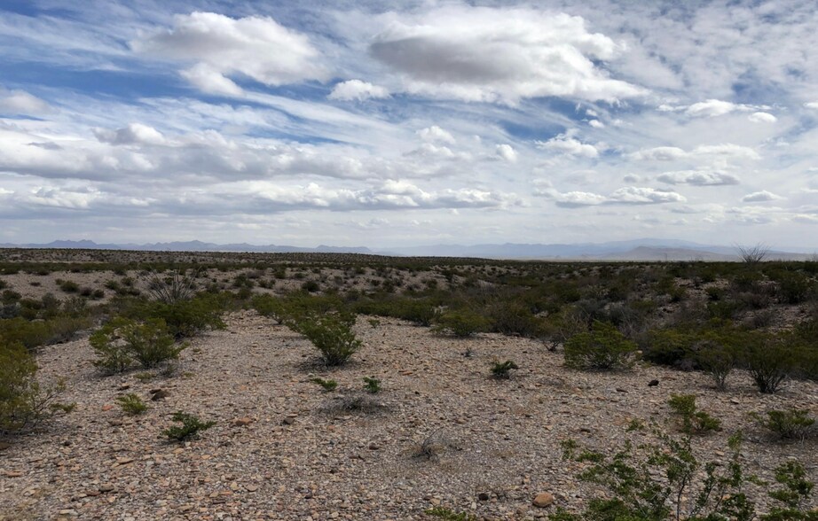 More Photos Of Fm 170, Presidio Land For Sale