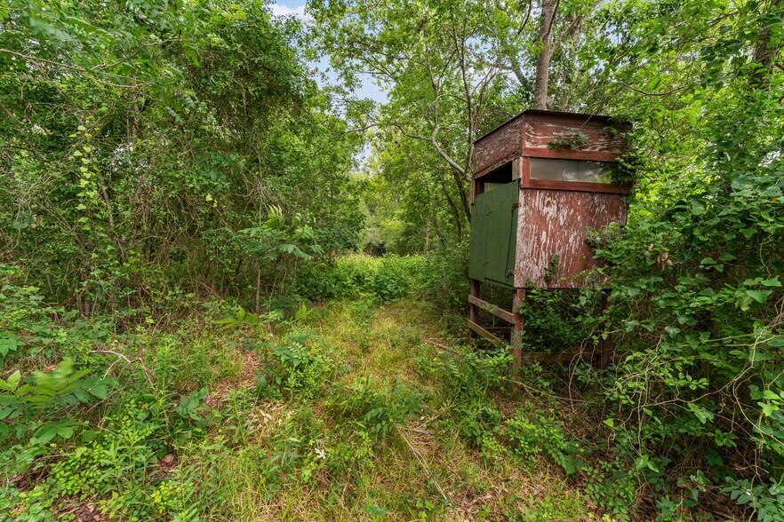 More Photos Of 10840 FM 442, Boling Land For Sale
