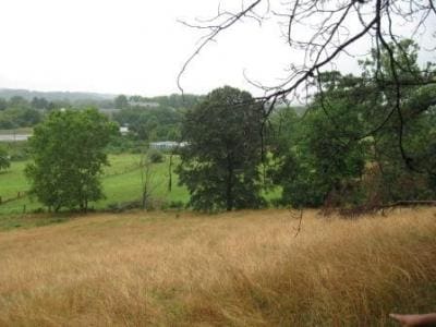 More Photos Of 286 Poplar Fork Rd, Hurricane Land For Sale