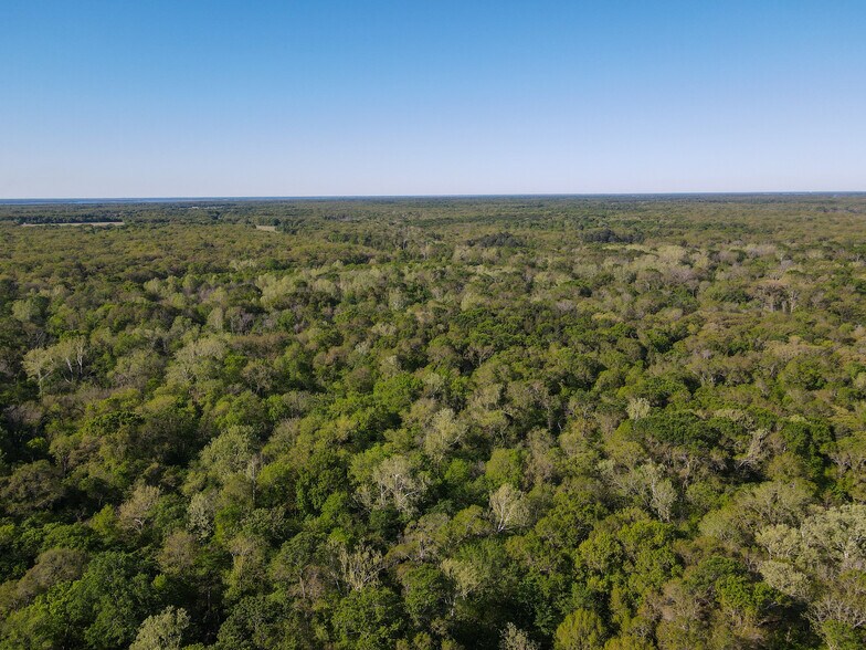 More Photos Of 3842 FM 2029, Telephone Land For Sale