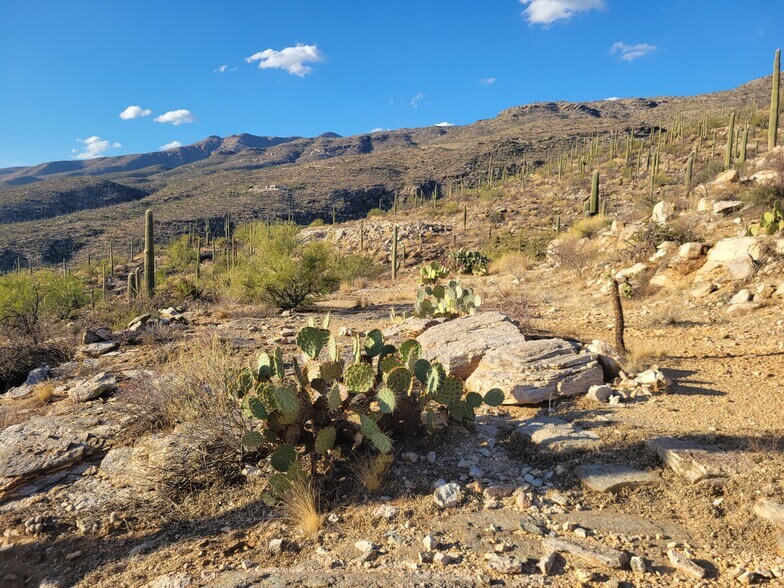 More Photos Of 12959-13013 E Cabeza De Vaca, Tucson Land For Sale