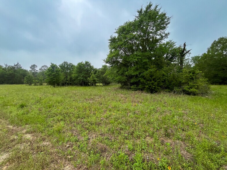 More Photos Of 8 Ranchero Rd, College Station Land For Sale