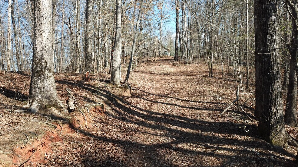 More Photos Of 333 Laurel Mountain Dr, Toccoa Land For Sale