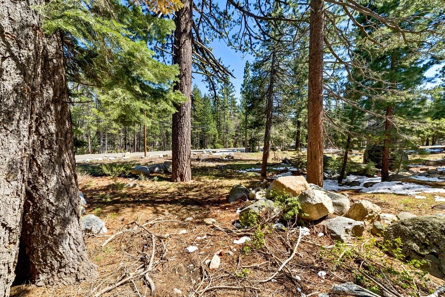 More Photos Of 804 Hwy 50, South Lake Tahoe Lodge Meeting Hall For Sale