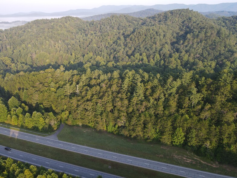 Primary Photo Of N Hwy 515, Cherry Log Land For Sale