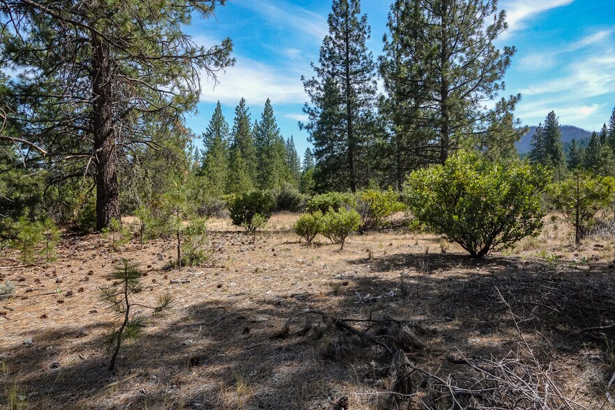 More Photos Of 4912 Kidder Creek Loop, Etna Land For Sale