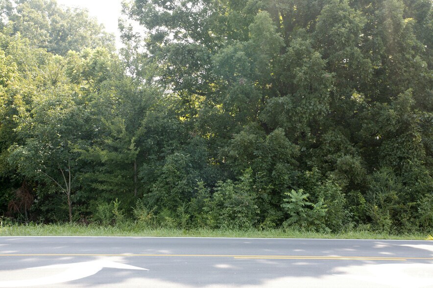 More Photos Of 908 Jimmie Kerr Rd, Haw River Land For Sale