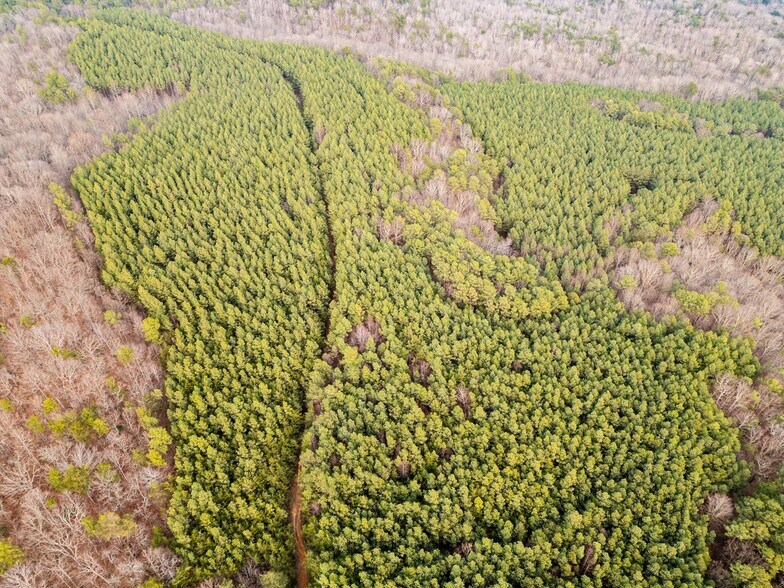 More Photos Of 762 Smith Mountain Rd, Dunlap Land For Sale