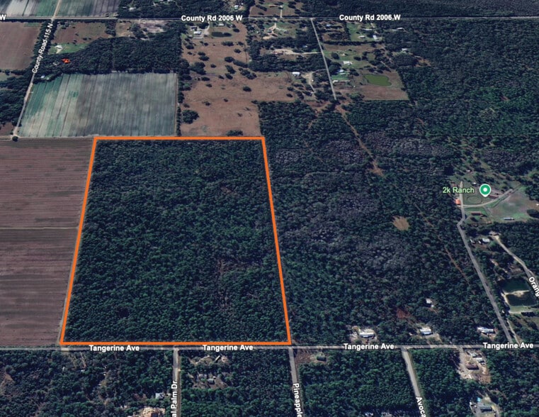 More Photos Of 0 Tangerine Avenue, Bunnell Land For Sale