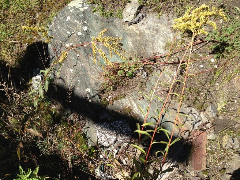 More Photos Of 157 Columbia St, Lee Warehouse For Sale