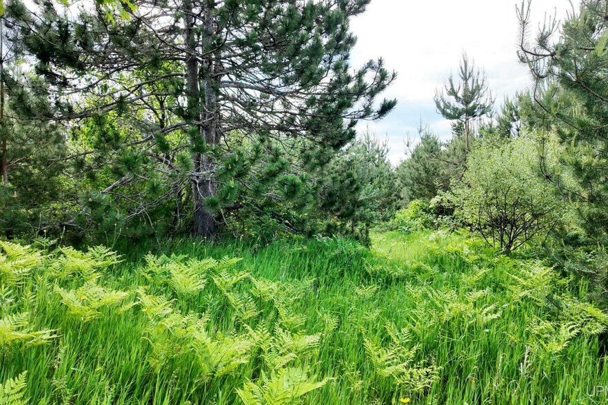 More Photos Of TBDState Highway M-123, Newberry Land For Sale