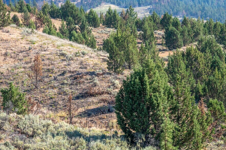 More Photos Of 32611 Tackman Rd, Prineville Land For Sale