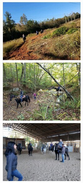 More Photos Of 2195 Otis Dellinger Rd, Lincolnton Specialty For Sale