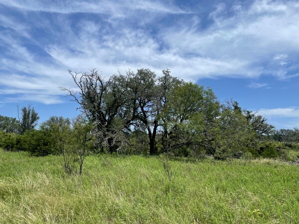 More Photos Of 221 W Rolling Oaks Dr, Goldthwaite Land For Sale
