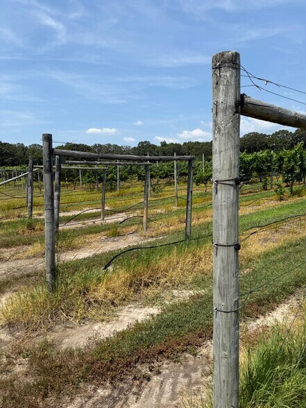 More Photos Of 221 N Delsea Dr, Cape May Court House Winery Vineyard For Sale