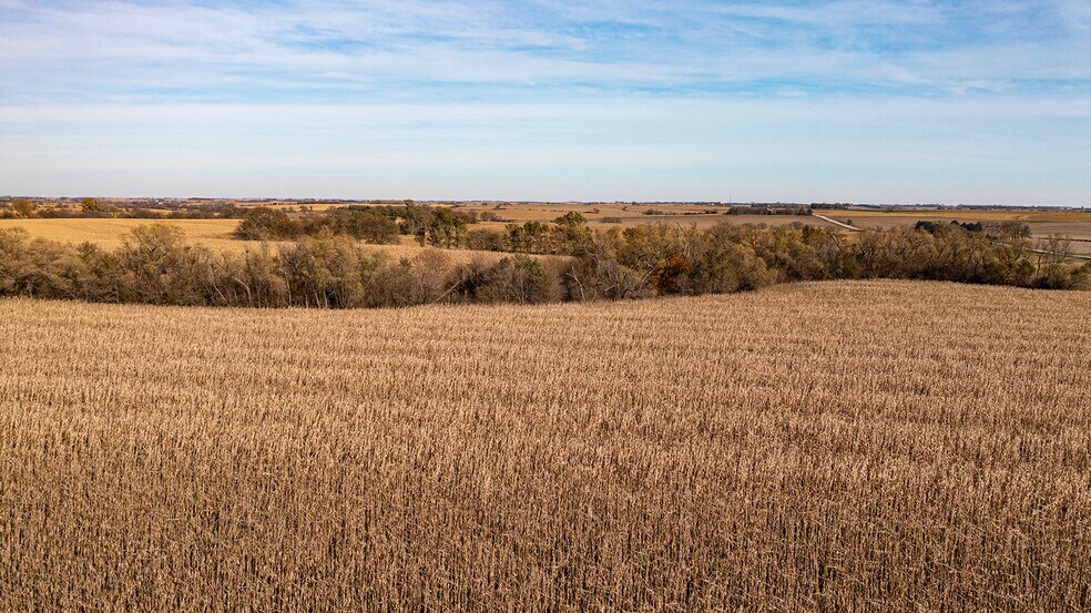 More Photos Of Hwy 63, Eagle Land For Sale