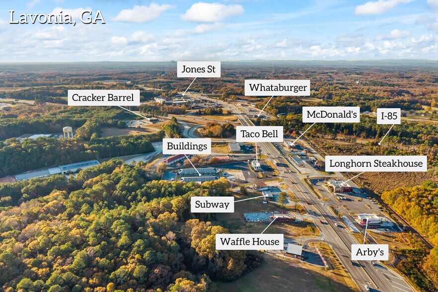 More Photos Of 13705 Highway 17, Lavonia Land For Sale