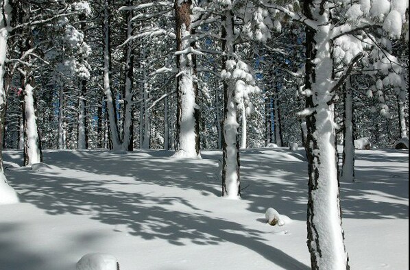 More Photos Of 13660 US Hwy 50, Kyburz Hotel For Sale