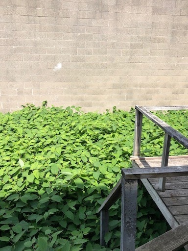 More Photos Of 1755-1755A Victory Blvd, Staten Island Storefront For Lease