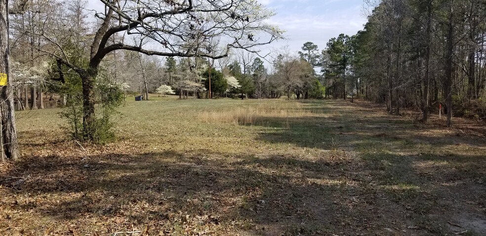 More Photos Of 16001 Highway 17, Hampstead Land For Sale