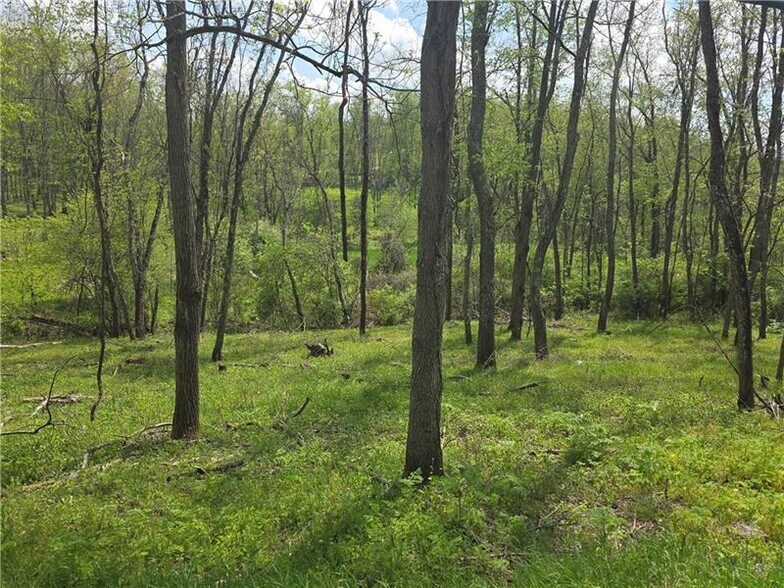 More Photos Of 000 Thomas Rd, Eighty Four Land For Sale